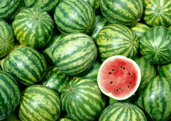 watermelonsss