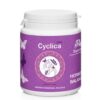 Cyclica Calm – prírodná podpora hormonálnej rovnováhy a úľava od PMS