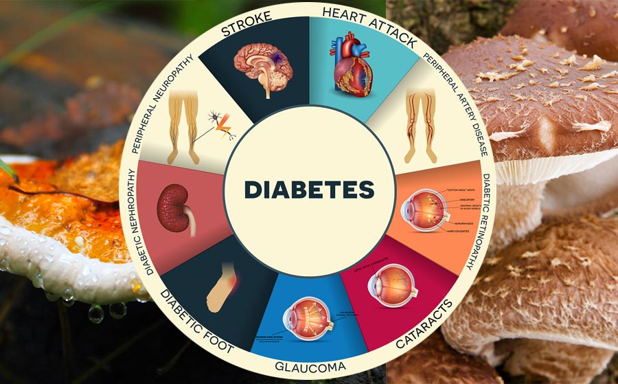 Obrázok ako cukrovka ovplyvňuje funkciu orgánov