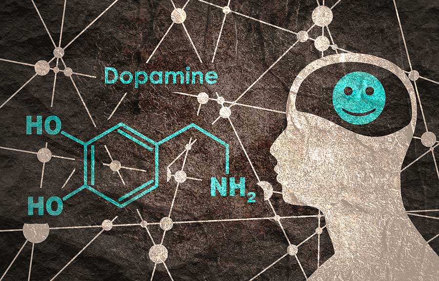 ilustrácie dopamínu a mozgu