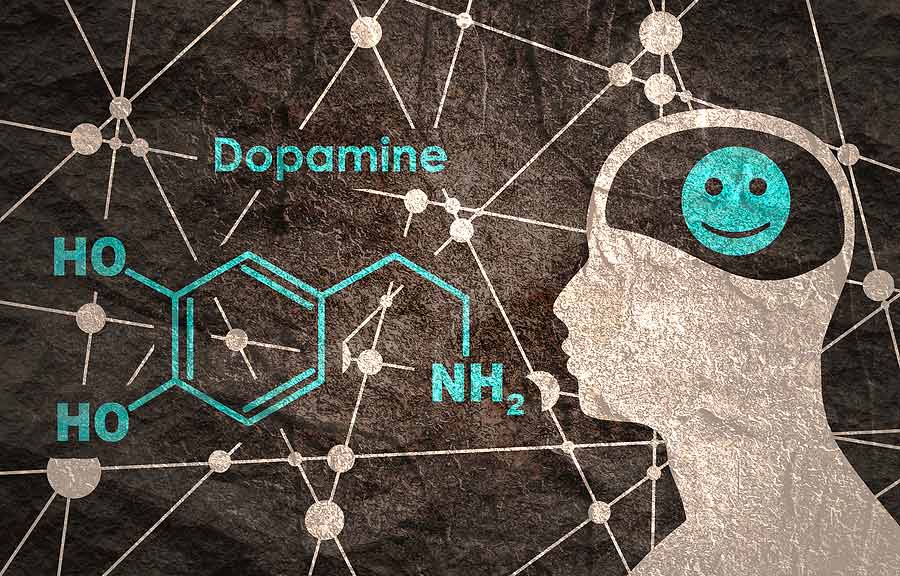 vplyv dopamínu na mozog