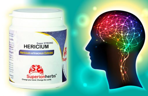 Hlava plná farebných špirál a doplnok stravy Hericium od Superionherbs