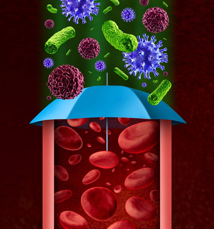dáždnik ochraňuje červené krvinky pred vírusmi a baktériami