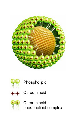 Patentovaná forma kurkumínu Curcumin Phytosome®
