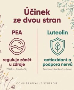 PEA Phytosome® + Luteolin – Obrázok 2