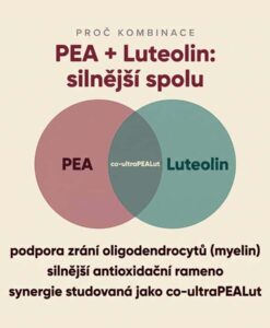 PEA Phytosome® + Luteolin – Obrázok 5