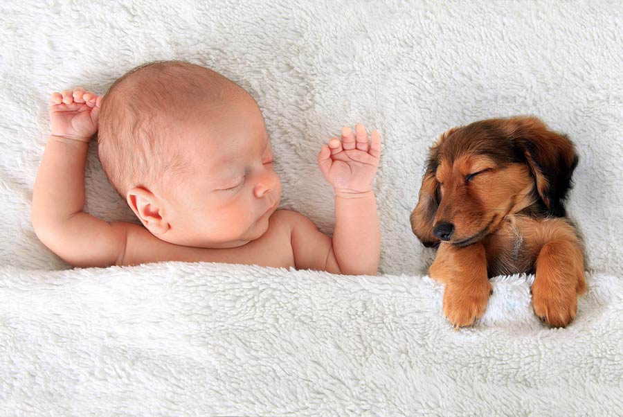 Bábätko a šteniatko spinkajú přikrití perinkou
